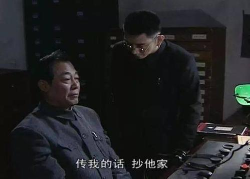 谍战吃瓜从潜伏洪秘书开始免费,谍战风云中的神秘较量